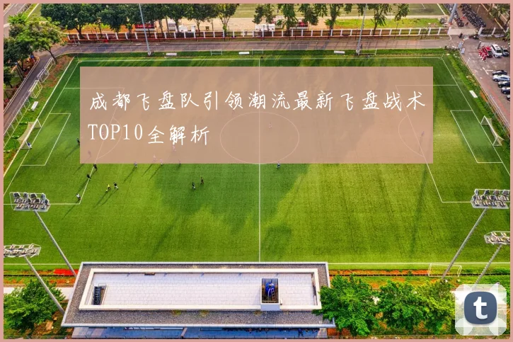 成都飞盘队引领潮流最新飞盘战术TOP10全解析