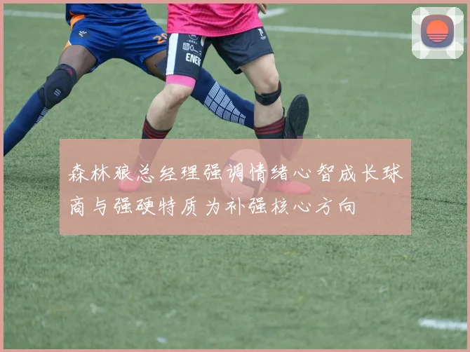 森林狼总经理强调情绪心智成长球商与强硬特质为补强核心方向