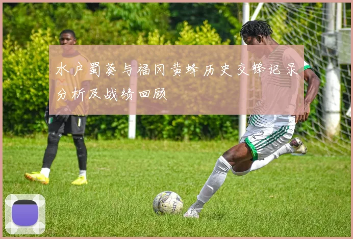 水户蜀葵与福冈黄蜂历史交锋记录分析及战绩回顾